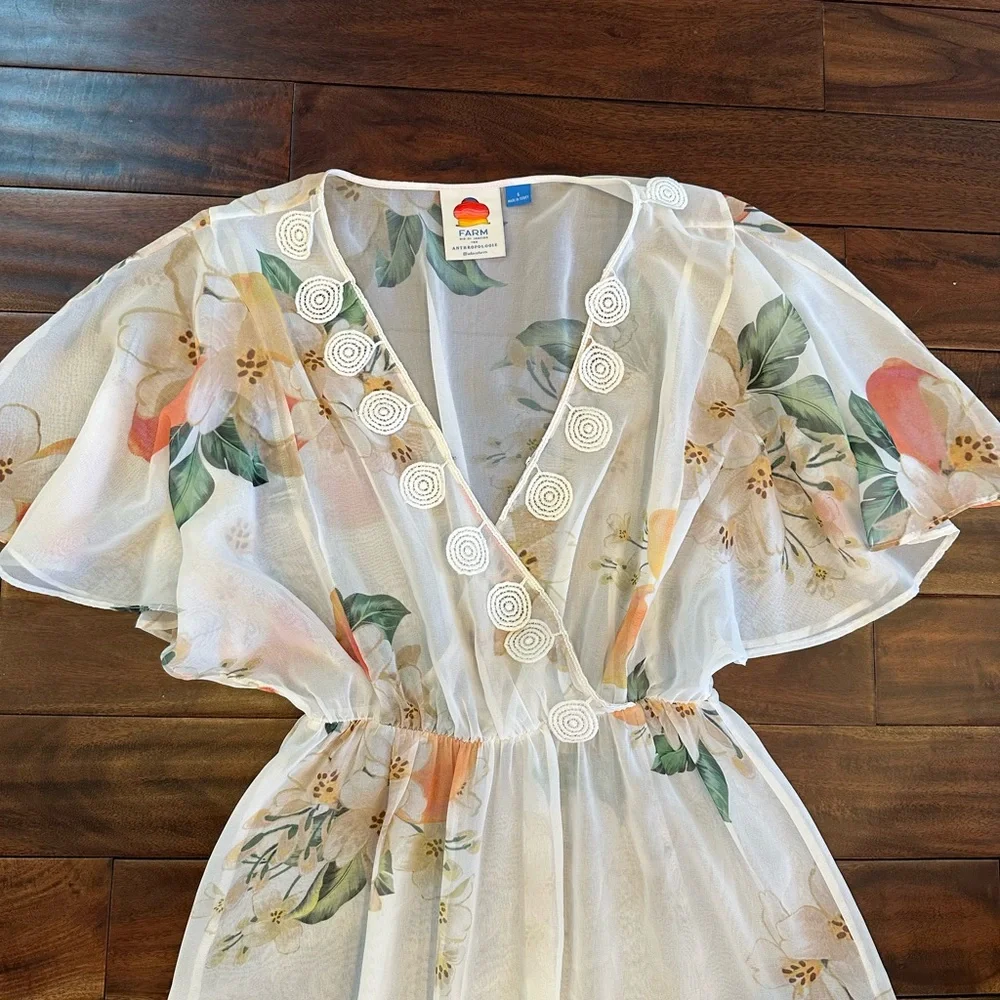 Farm Rio Eloisa Sheer Floral Dress Empire Waist size Small MSRP $280 - Picture 5 of 8